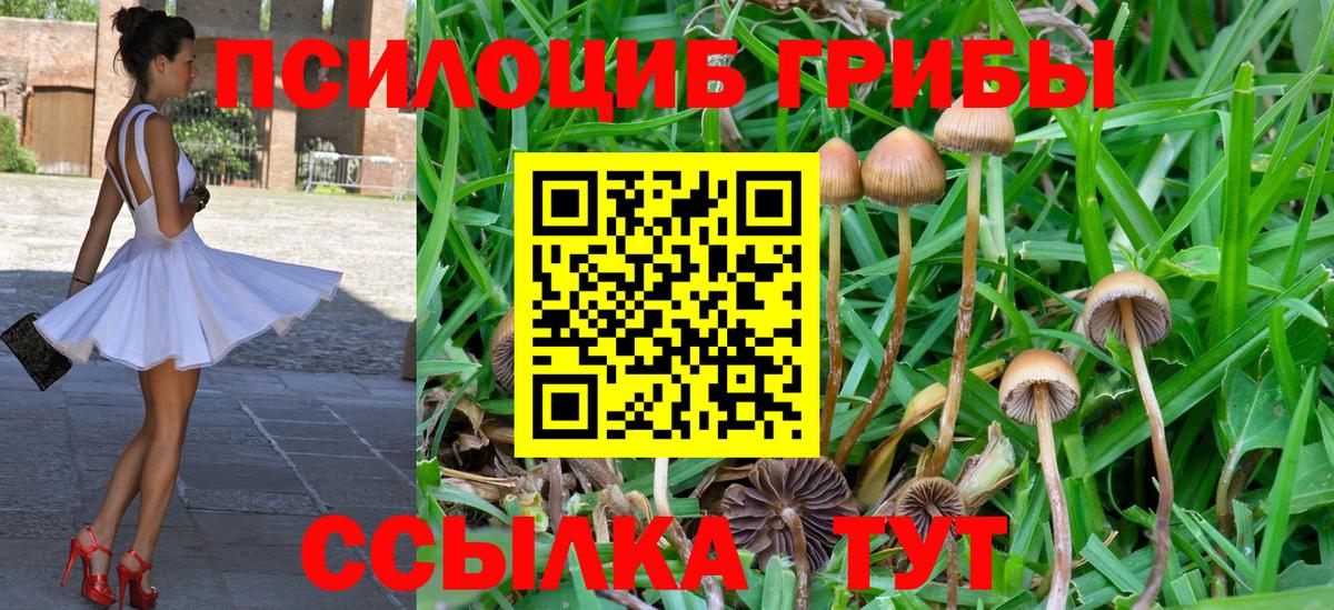 Галлюциногенные грибы GOLDEN TEACHER Ефремов