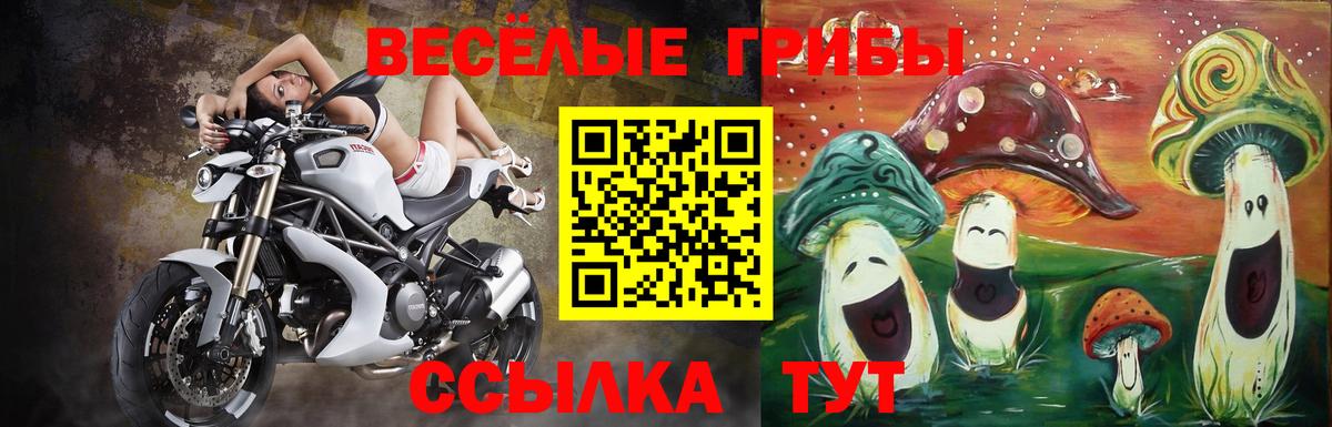 Псилоцибиновые грибы MAGIC MUSHROOMS  Псилоцибиновые грибы мухоморы  Вход с VPN  Ефремов 